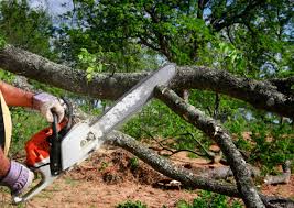 Best Aeration Services  in Cattaraugus, NY